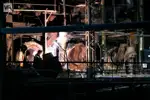 Павлодарская ТЭЦ-3 продолжает готовиться к зиме
