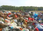 Природный заказник и свалка: жители на севере Казахстана возмущены организацией полигона рядом с селом Трудовая Нива