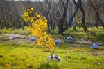 В Павлодаре обсудят план охраны окружающей среды на ближайшие три года